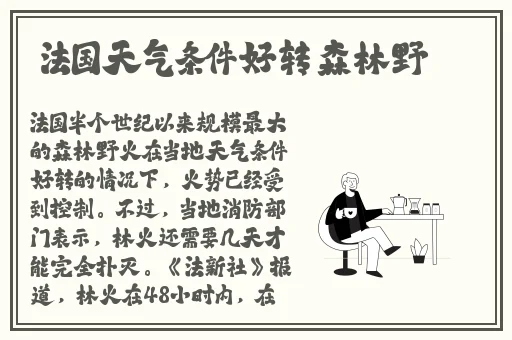 绝了绝了老阿姨也太会了